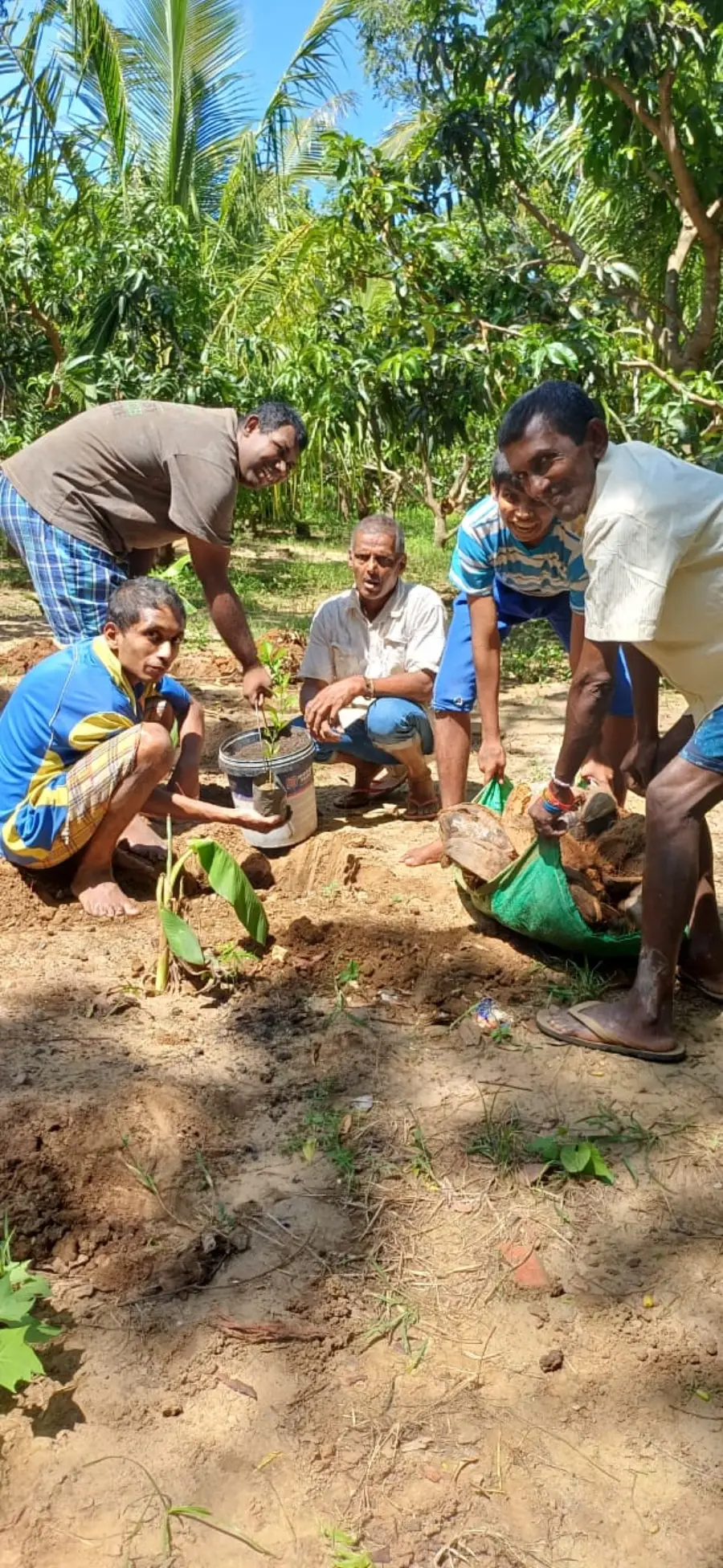 Children gardening and planting